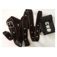 RA-YSD01型 约束带