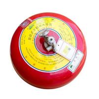 悬挂式超细干粉灭火器 FZX-ACT4/1.2-C